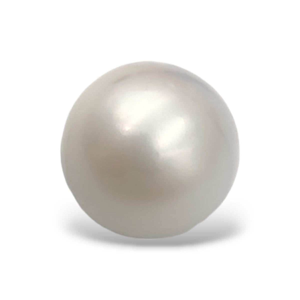 South Sea Pearl (Medium)