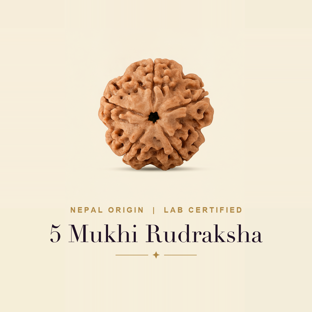 5 Mukhi Rudraksha (Free Gift)