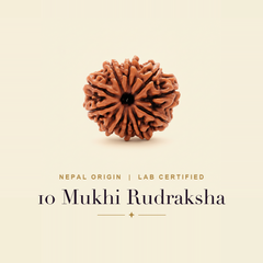 10 Mukhi