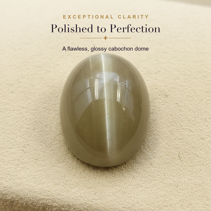 Cat's Eye (Lehsunia) — clarity macro