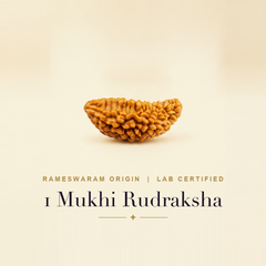 1 Mukhi