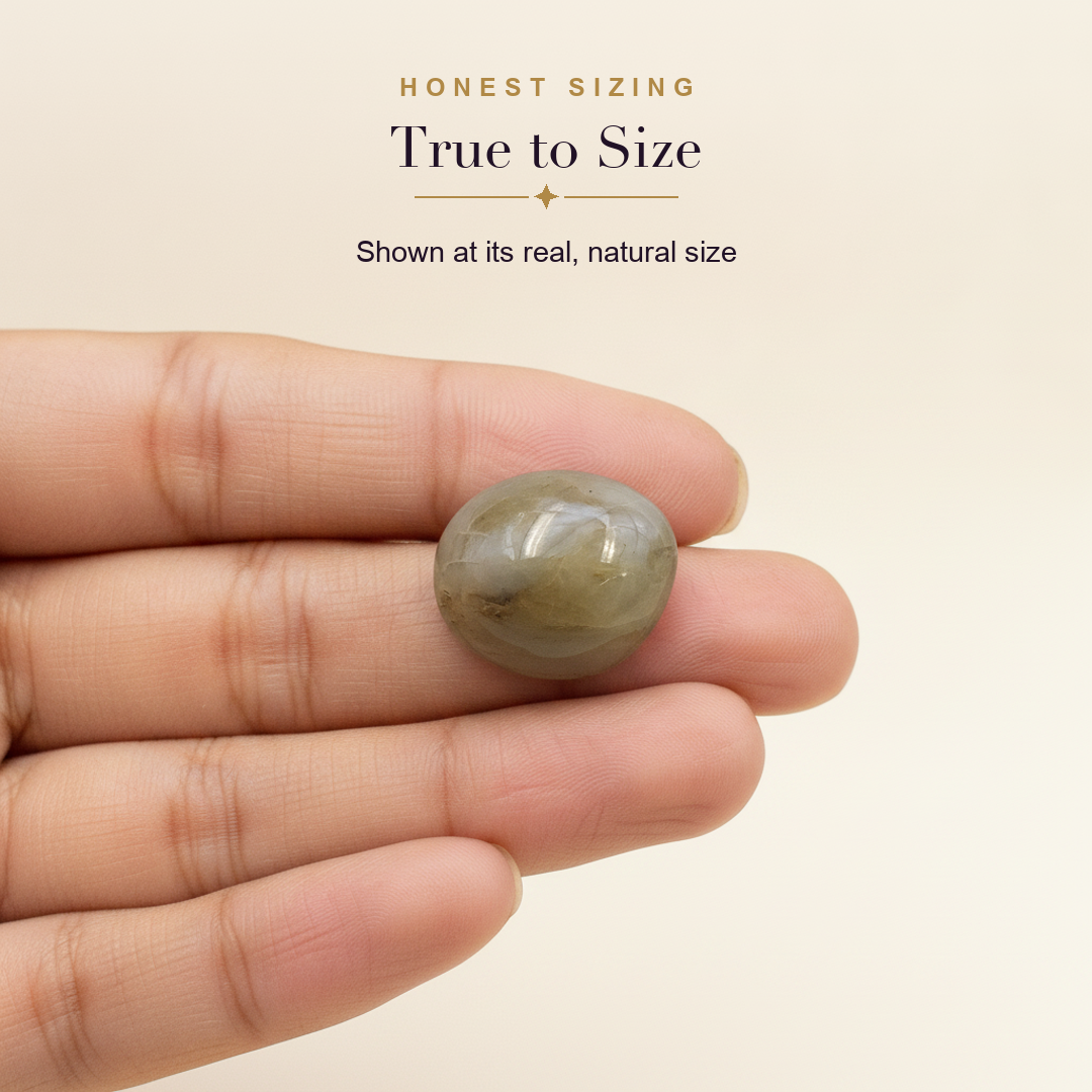 Cat's Eye (Lehsunia) — true to size