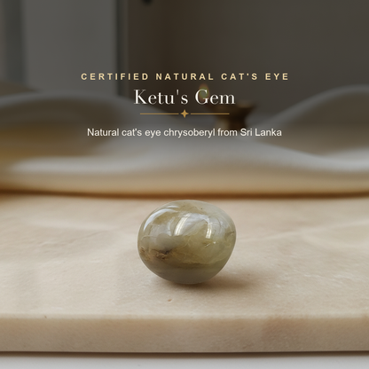Cat's Eye (Lehsunia) — lifestyle hero