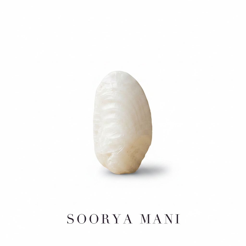 Soorya Mani