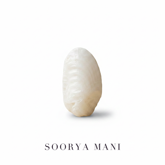 Soorya Mani