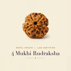 4 Mukhi