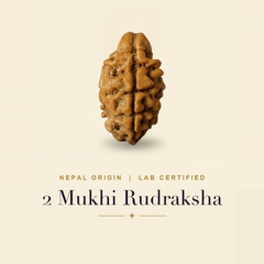 2 Mukhi