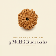 9 Mukhi