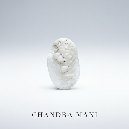 Chandra Mani