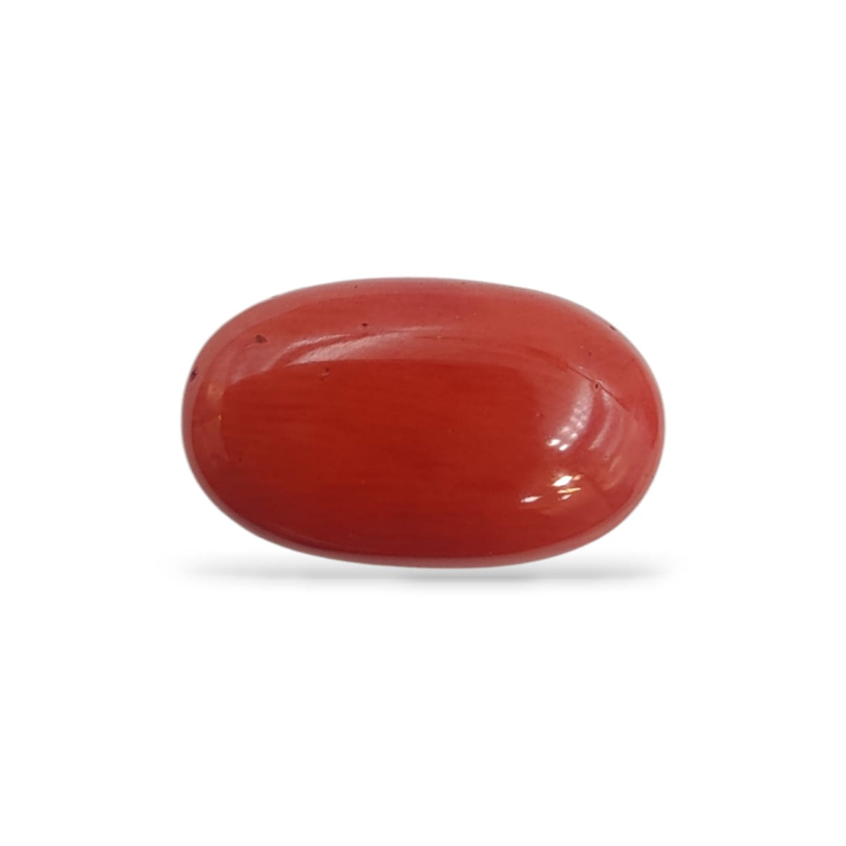 Coral Stone (Premium AA)