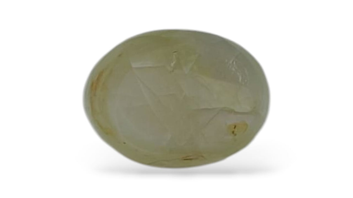 Cat Eye (Regular) - Indian