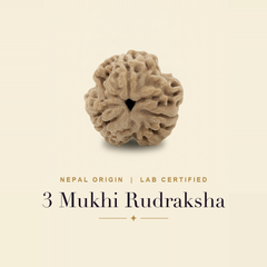 3 Mukhi