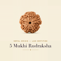 5 Mukhi