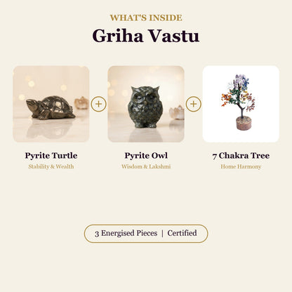 Griha Vastu Combo (Pyrite Turtle + Pyrite Owl + 7 Chakra Tree)