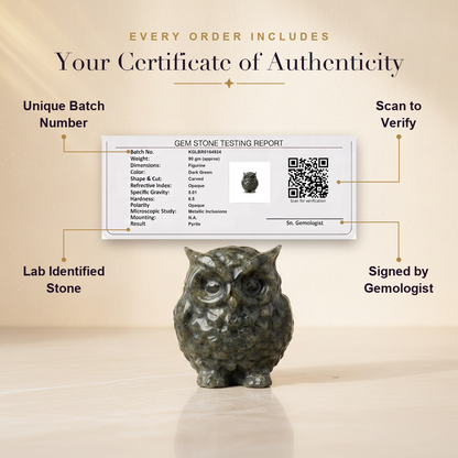Griha Vastu Combo (Pyrite Turtle + Pyrite Owl + 7 Chakra Tree)
