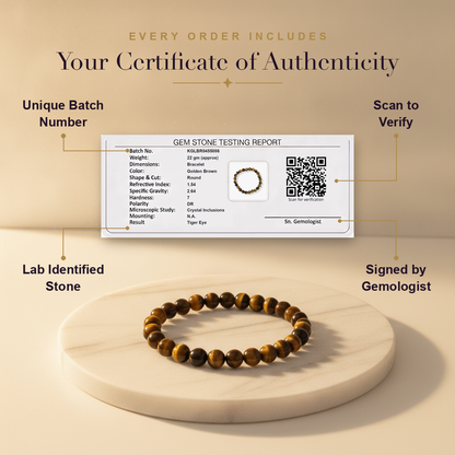 Aura Starter Duo (Amethyst + Tiger Eye Bracelet) (Lab Certified)