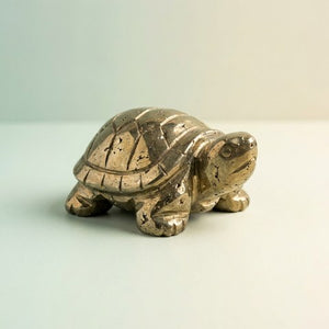 Turtles